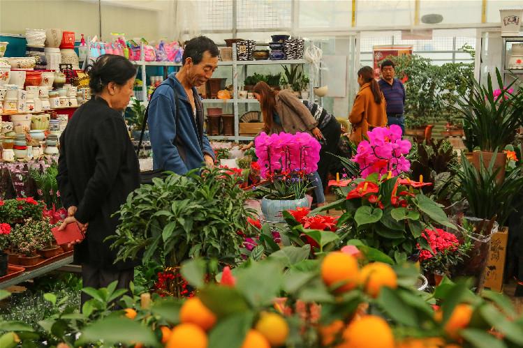 【第一眼】春意濃 花俏俏 你家的春來來了嗎？