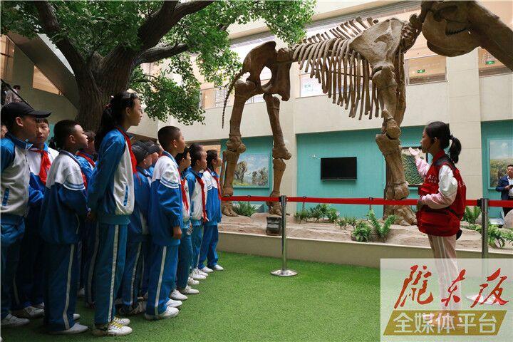 【第一眼】慶陽市博物館開展多項(xiàng)活動(dòng)慶?！?·18國際博物館日”