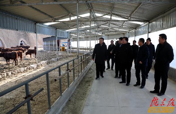 贠建民在正寧縣調(diào)研時強調(diào) 鞏固提升農(nóng)業(yè)產(chǎn)業(yè)發(fā)展的良好勢頭 推進(jìn)脫貧攻堅同鄉(xiāng)村振興有效銜接
