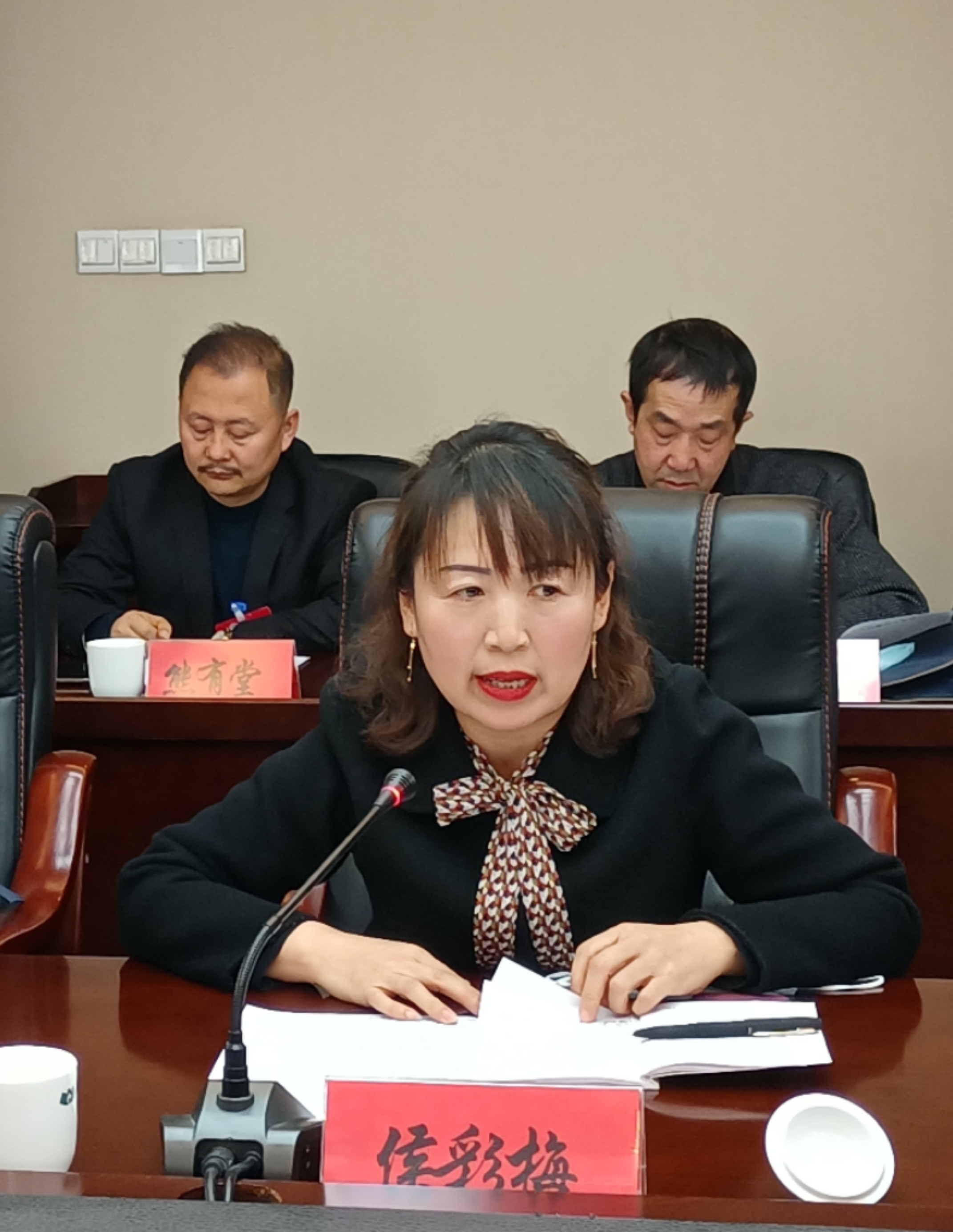 侯彩梅委員在討論發(fā)言時就規(guī)范農(nóng)村中小學體育教學提出了建議。