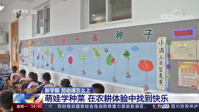 新學(xué)期，勞動課怎么上？央視《新聞直播間》關(guān)注北師大慶陽附校農(nóng)耕體驗課