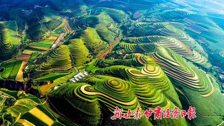 “羊”名立萬正當(dāng)時(shí)——環(huán)縣念羊經(jīng)、興羊業(yè)、發(fā)羊財(cái)促進(jìn)鄉(xiāng)村振興發(fā)展