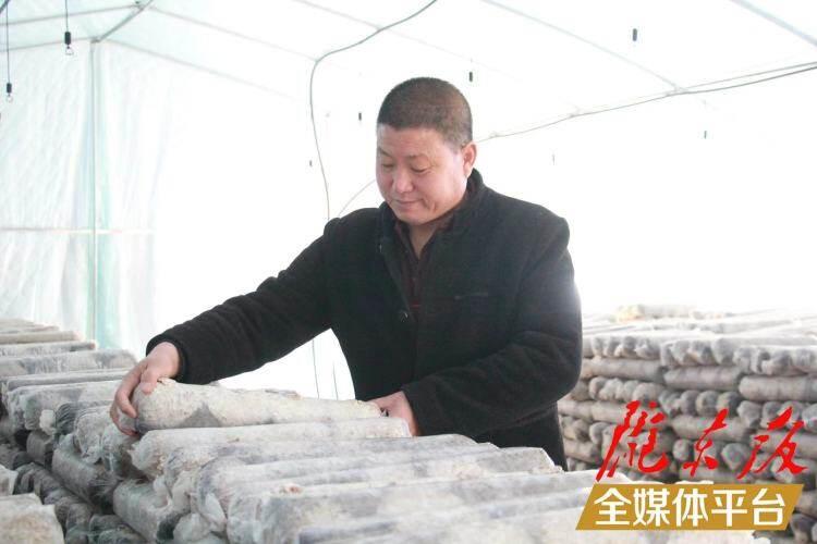 西峰區(qū)后官寨鎮(zhèn)司官寨村食用菌基地，工作人員在整理菌棒。本報(bào)記者 南力 攝