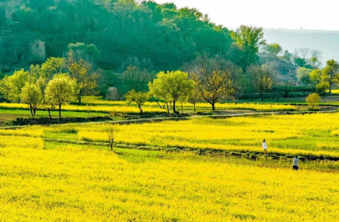 來(lái)慶陽(yáng)，一起“上春山”