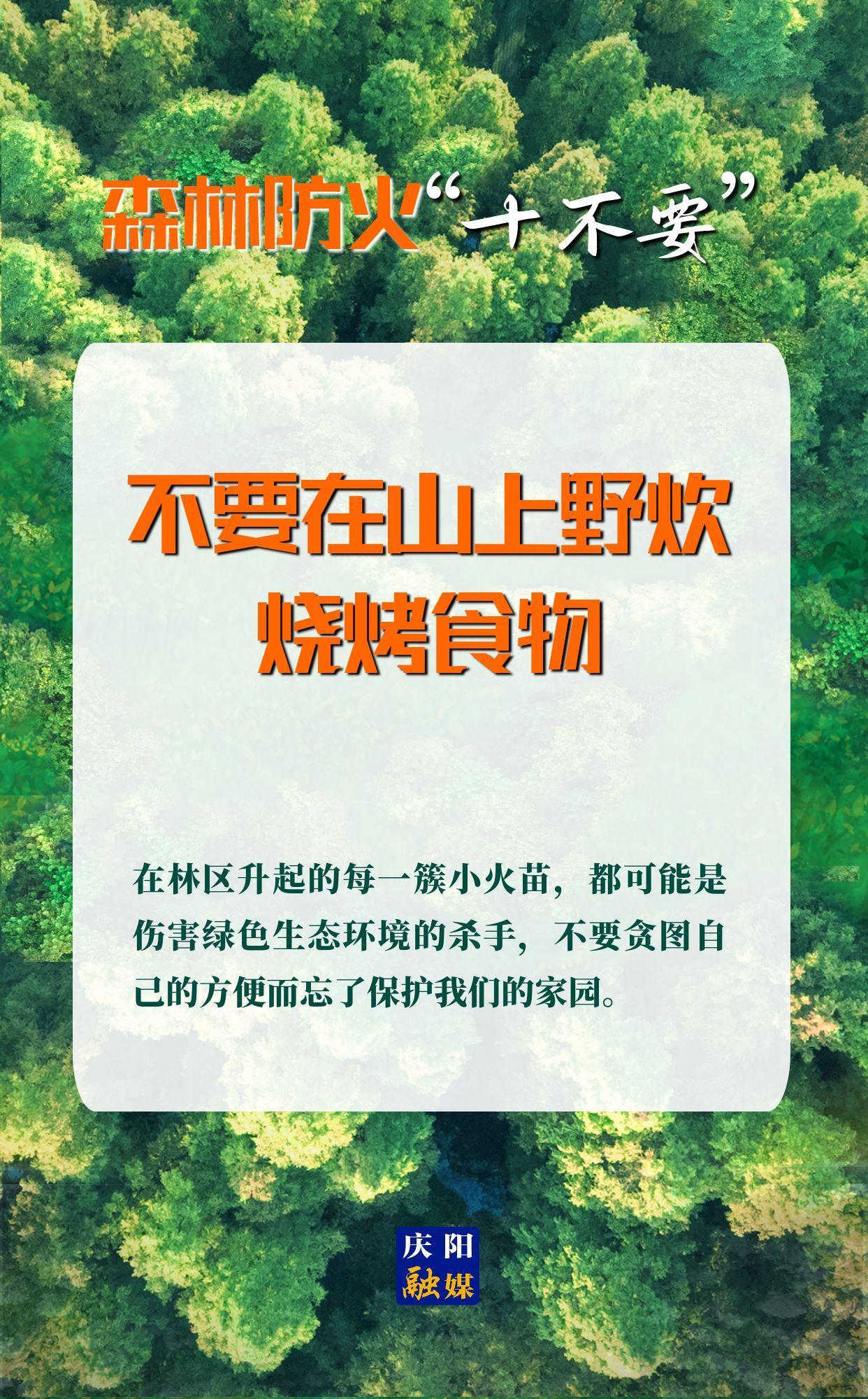 【微海報(bào)】森林防火“十不要”③丨不要在山上野炊、燒烤食物