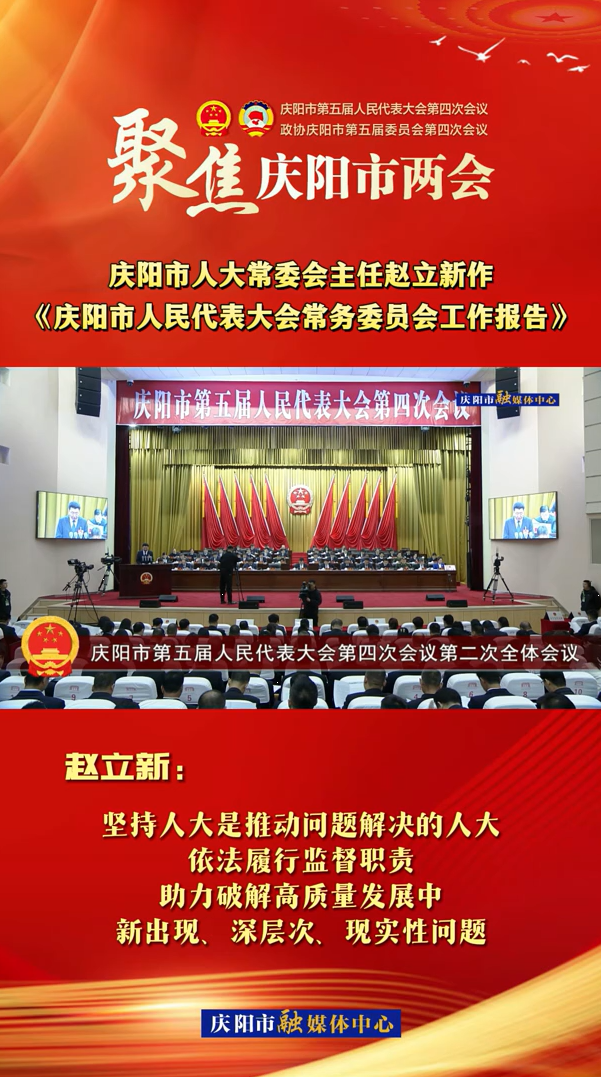 兩會(huì)V視(29)丨趙立新：堅(jiān)持人大是推動(dòng)問(wèn)題解決的人大，依法履行監(jiān)督職責(zé)，助力破解高質(zhì)量發(fā)展中新出現(xiàn)、深層次、現(xiàn)實(shí)性問(wèn)題