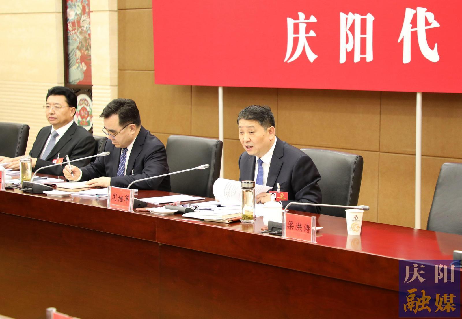 周繼軍在審議省政府工作報告時說 走實走好加快革命老區(qū)振興發(fā)展新路子 努力在全省高質(zhì)量發(fā)展中挑大梁作標桿