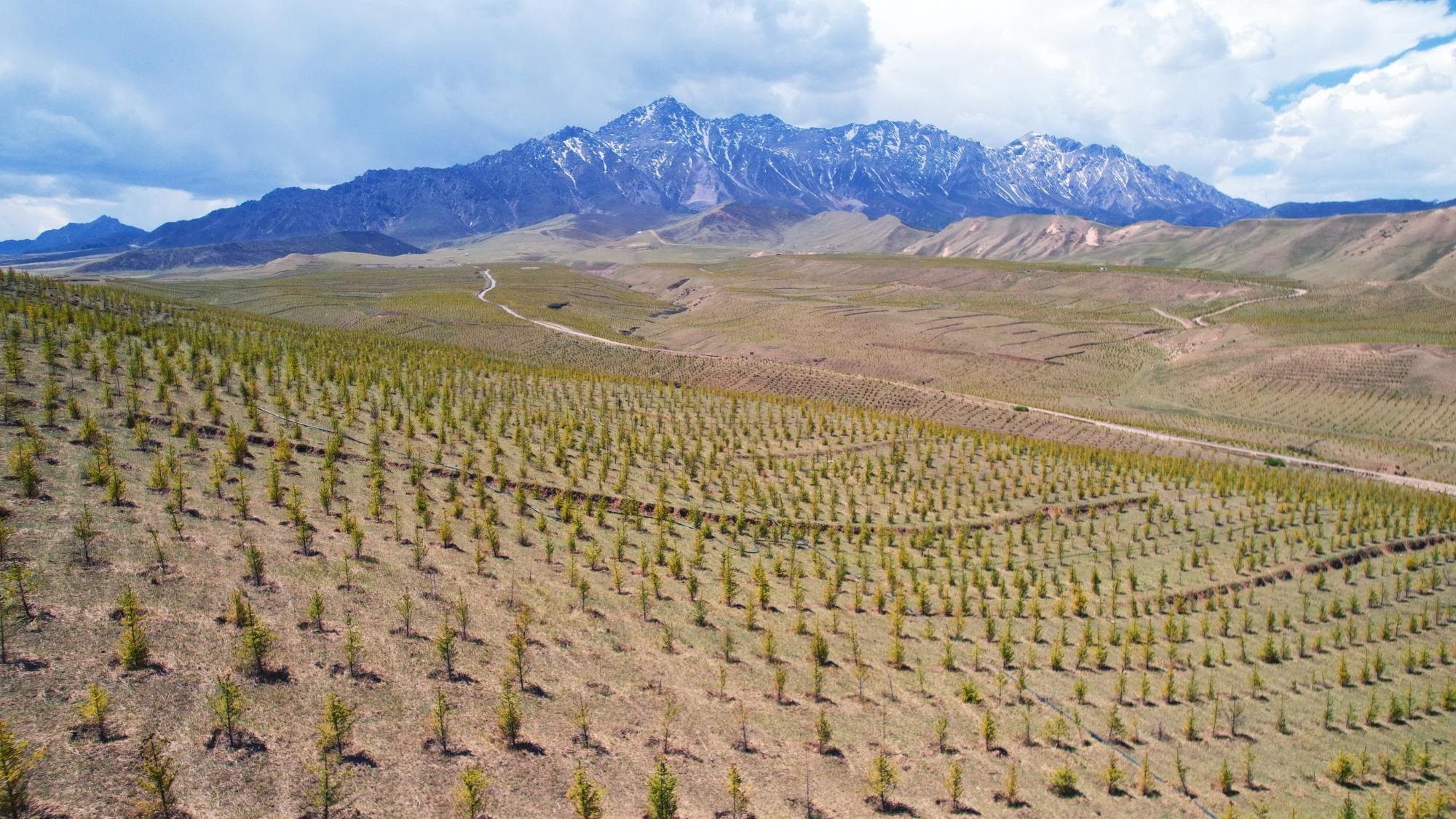 甘肅張掖民樂(lè)：厚植生態(tài)底色 繪就綠色發(fā)展新圖景