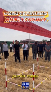 【V視】12位省級專家在鎮(zhèn)原現(xiàn)場測定小麥機收減損率