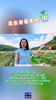 南梁鎮(zhèn)打造“我在南梁有塊田”體驗(yàn)園，建成集種植、研學(xué)、觀光于一體的現(xiàn)代觀光農(nóng)業(yè)產(chǎn)業(yè)園，加快農(nóng)文旅融合，推動(dòng)產(chǎn)業(yè)鏈不斷優(yōu)化升級(jí)